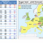 L’UE prévoit un rendement betteravier de 77,5 t/ha pour 2018