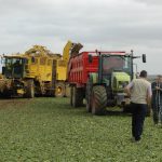 Les deux tiers des agriculteurs français risquent de ne pas être remplacés