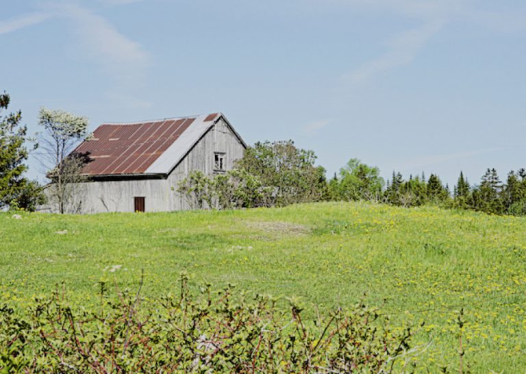La Safer peut aussi préempter des biens non agricoles