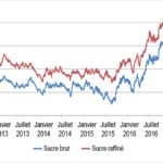 Sucre : les spéculateurs présents comme jamais