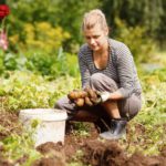 Agri Bio Impact veut aider les agriculteurs à créer de la valeur