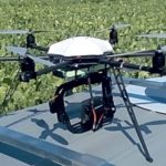 Le phénotypage des betteraves par drone