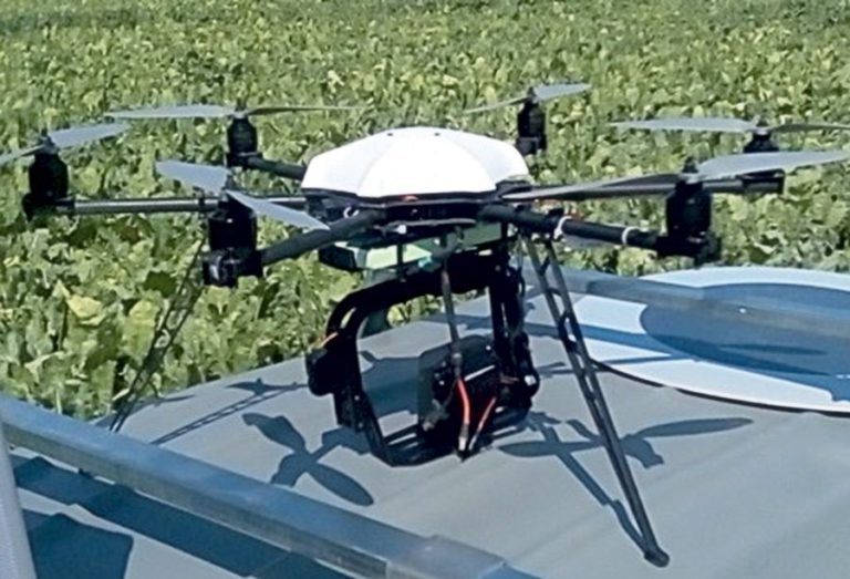 Le phénotypage des betteraves par drone
