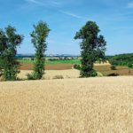 S’agrandir avec l’assolement en commun