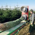 Thierry de Bonnay (Marne) : arboriculteur de Noël