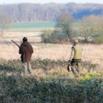 Un loisir qui revient à la mode