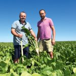 Eddy et Loïc Bollaert : la betterave s’essaie à l’agriculture de conservation