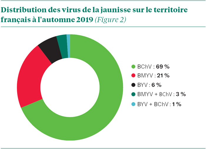 Merci Dolly !