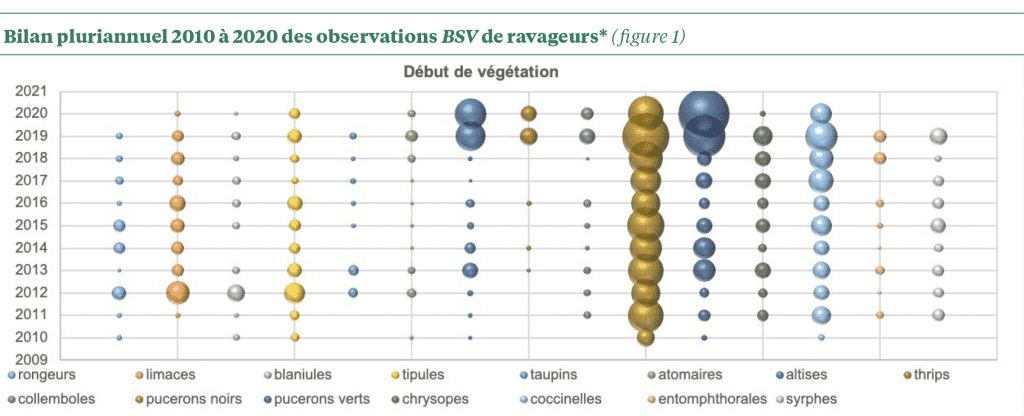 Merci Dolly !