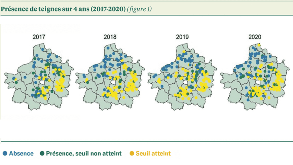 Merci Dolly !