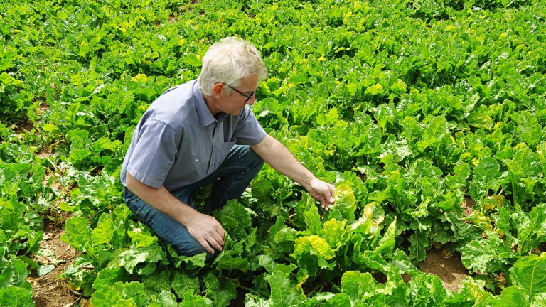 pascal chenu, partisan prudent de la hve