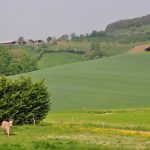 1,2 milliard d’euros pour moderniser l’agriculture