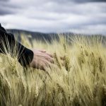 Les Français préoccupés par le sort des agriculteurs