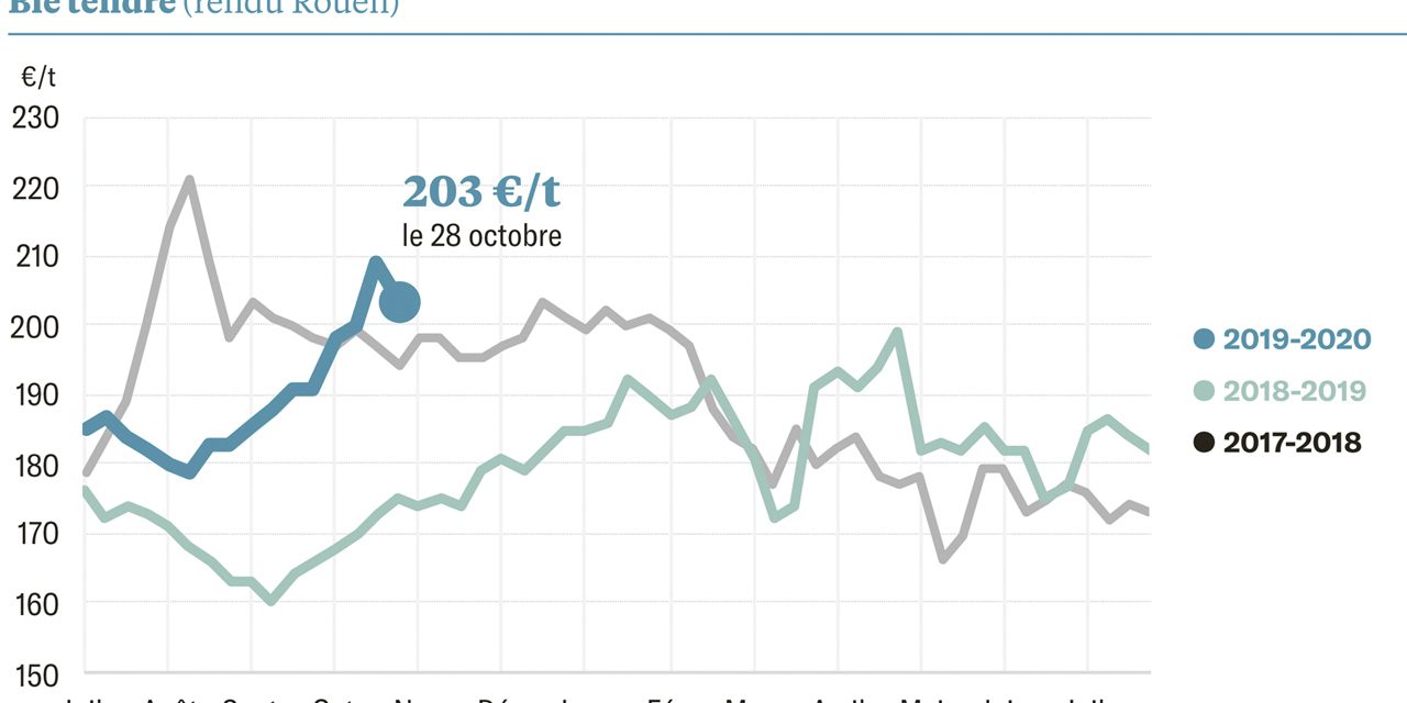 Le Ble Et Le Mais Au Plus Haut Depuis Deux Ans