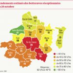 Un rendement au-dessous des 70 t/ha, historiquement bas