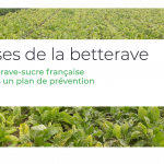 Le plan de prévention de la filière betterave-sucre en détails