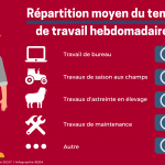 Betteraviers, qui êtes-vous ? (4/5) : l’organisation du travail