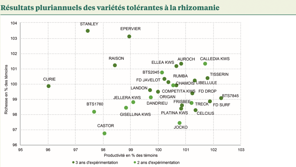 Merci Dolly !