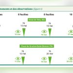 Produits de biocontrôle au banc d’essai