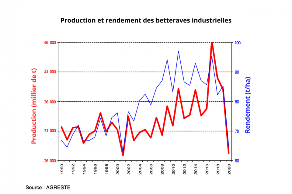 Les rendements et tonnages 2020 dévoilés par région Le Betteravier