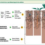 Comment réussir son implantation ?