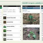 Deux outils pour identifier les bioagresseurs