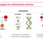 Que se cache-t-il derrière les NBT ?