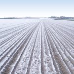 Près de 60 000 hectares détruits par le gel, et maintenant ?