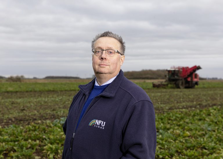 «&nbsp;Nous n’aurons pas de néonicotinoïdes en 2021»