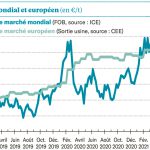 La récolte brésilienne déçoit, les cours en profitent !