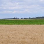 Le Sénat souhaite l’instauration d’une Journée nationale de l’agriculture