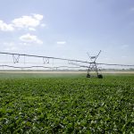 Assurer une bonne efficience de l’irrigation