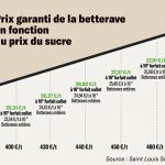 Saint Louis Sucre annonce un prix garanti de 25,31 €/t pour 2022