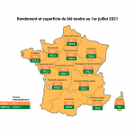 Vers une forte hausse de la récolte de blé tendre en 2021