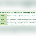 Les choix de couverts suite à l’emploi de néonicotinoïdes