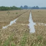 Les agriculteurs de l’Aisne demandent l’aide de l’État