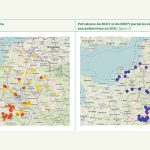 Quels sont les virus responsables de la jaunisse en 2021 ?