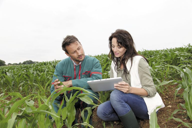 Les agriculteurs de grandes cultures très connectés