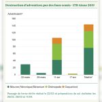 Intérêt des faux-semis en production bio de betterave