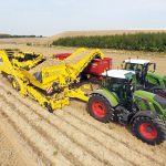 La production de pommes de terre en baisse assainit le marché