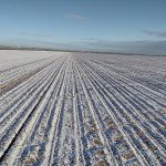 Des aides complémentaires pour les exploitations victimes du gel en 2021 2 Des aides complémentaires pour les exploitations victimes du gel en 2021