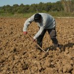 Le secteur agricole peine à recruter