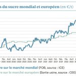 Le marché mondial cherche sa tendance