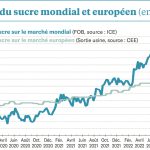 L’origine Brésil déjà plébiscitée