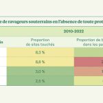 Ravageurs : un bilan contrasté selon les espèces
