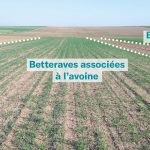 Résultats d’expérimentation 