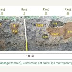 Tassement de sol à la récolte : étude de cas