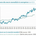 Les spéculateurs permettent au marché de garder le cap