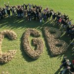 La CGB appelle les autres sucriers à revaloriser le prix des betteraves