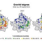 Teigne et charançon : quel bilan de l’année 2022 ?